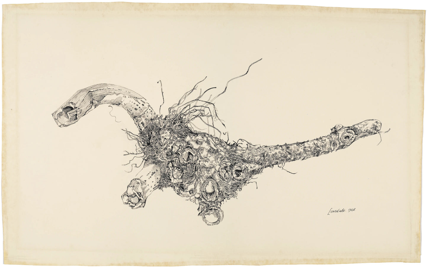 Root Form